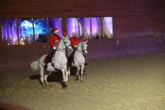 Mini IMG 5943